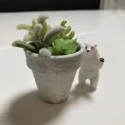 TENNの画像