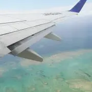 おにぎりの画像