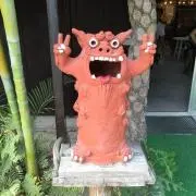 サーレの画像