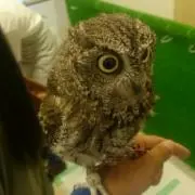 ユウタの画像