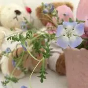 aori