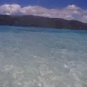 りいの画像