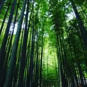 るかるかの画像