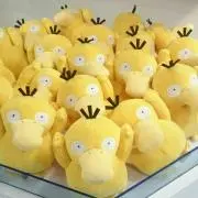 こだっく