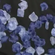 あおの画像