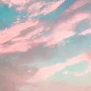 セナ