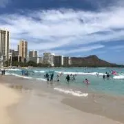 こなつの画像