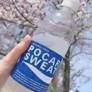 おもちの画像