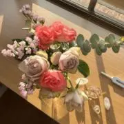 レタスの画像