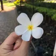 icsk＊の画像