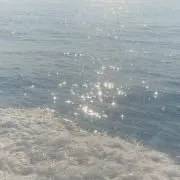 うにの画像