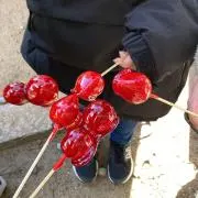 アルネの画像