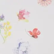 o ha na ~の画像