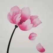 aki