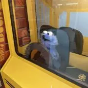 hanaの画像