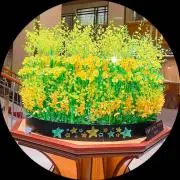 ★マンダリンオレン★の画像