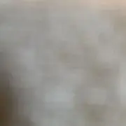 ぱるぱるの画像