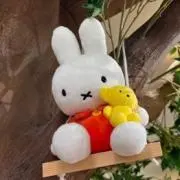 ゆぅの画像
