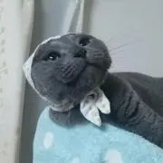 しゃろんこ