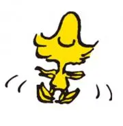ぴっぴの画像