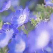 クルル*6/6.6/7特別割引予定の画像