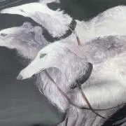 もりの画像