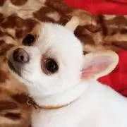 えみり