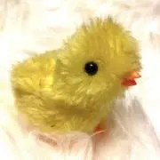 tatomoの画像