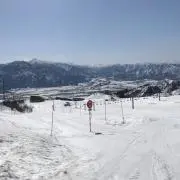 はせがわけい