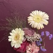popoの画像