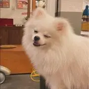 テキぃぃら
