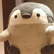 kaniの画像