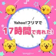 ジミナセイネンの画像