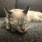 takuの画像