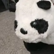 ✧︎*。の画像