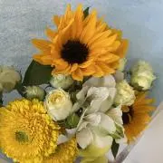 あやな☆の画像