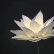 コーヒーゼリーの画像