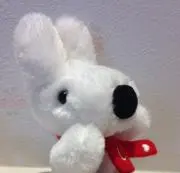 ゆんの画像