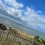 surflifの画像