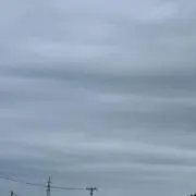 バックス