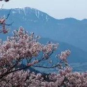 みーママ