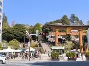 s.cano*プロフィール確認ください