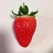 いちご