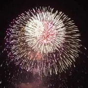 unota