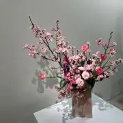 beriの画像