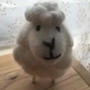 花ちゃん☆