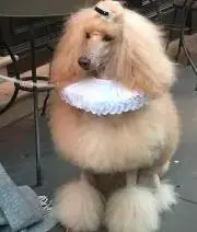 Uの画像