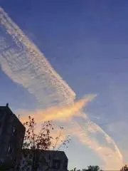 由良