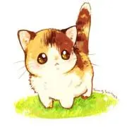 pon☆彡