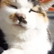 0150